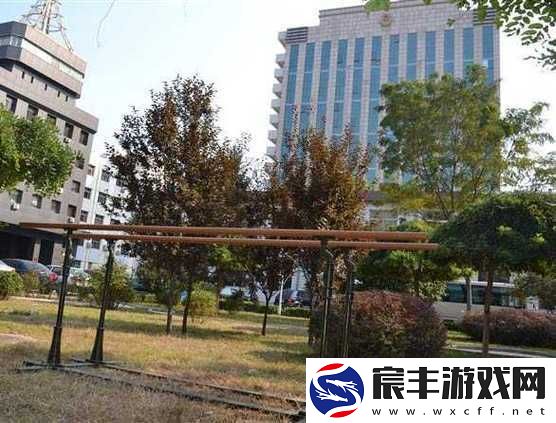 久久-99-精品国产麻豆-91-樱花：一段跨越时空的爱恋