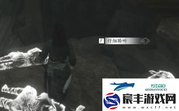 燕云十六声弱水岸任务怎么做