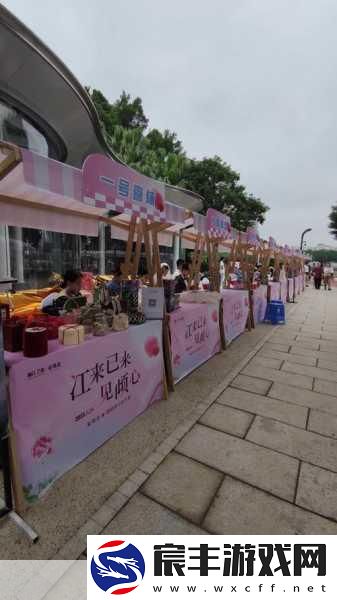 爱情岛1号线和2号线测速：“爱情岛1号线与2号线测速扩展计划全面启动”