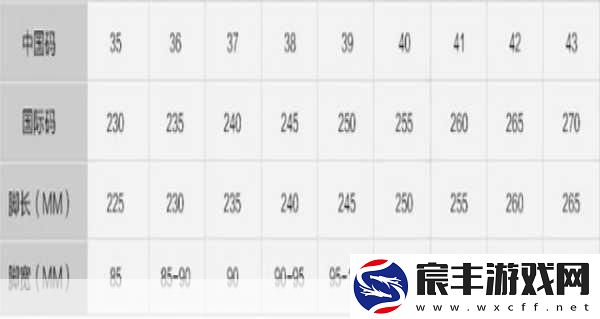 亚洲和欧洲一码二码区别综合：亚洲与欧洲一码二码的区别及其综合分析