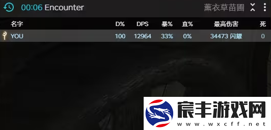 ff14不用act怎么看dps输出