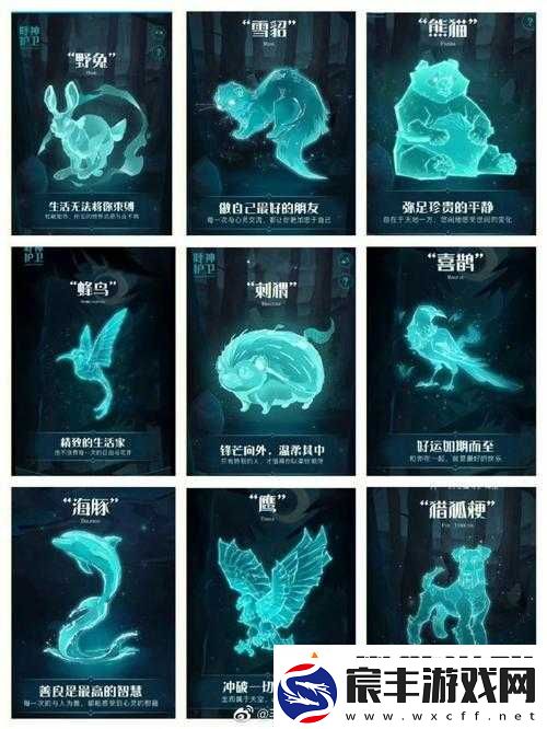 哈利波特魔法觉醒-探索守护神刺猬的奥秘-解锁个性化专属魔法伙伴之旅