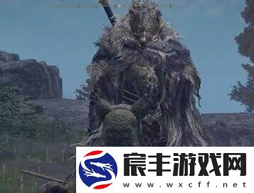 艾尔登法环菈妮支线没有布莱泽怎么办