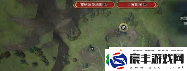 加里克教授的作业2怎么做