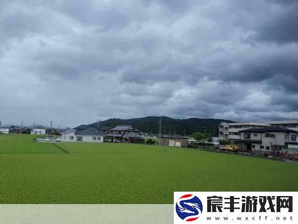放开那貂蝉-卡牌对战新纪元-策略与激情的碰撞