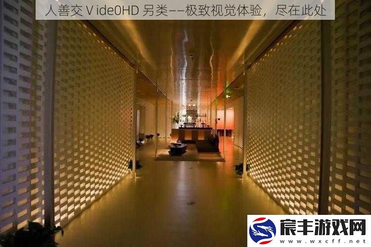 人善交Ⅴide0HD-另类——极致视觉体验-尽在此处