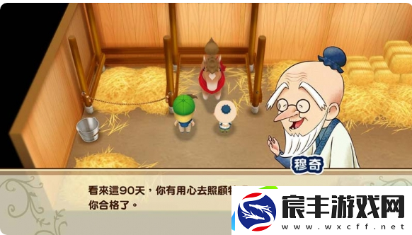 牧场物语男孩版怎么得到马