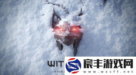 粉丝不必试图干预巫师4的剧情走向CDPR将坚持自己的创作理念
