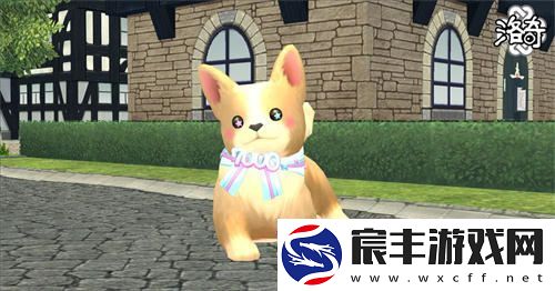洛奇庆祝7000天盛大纪念活动