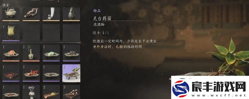 黑神话：悟空灵台药苗怎么获得