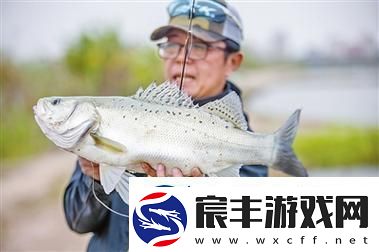 珊瑚岛巨型海鲈鱼垂钓位置全景
