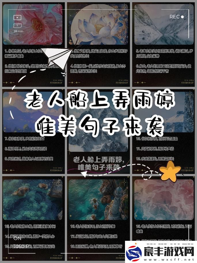 探寻情感深邃的航行——老人船上弄雨婷最经典的一句