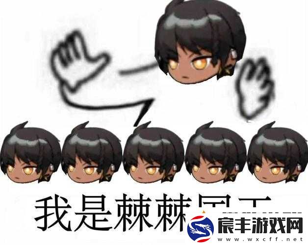 急急急急急！深入解析急急国王表情包及其络梗的由来与流行
