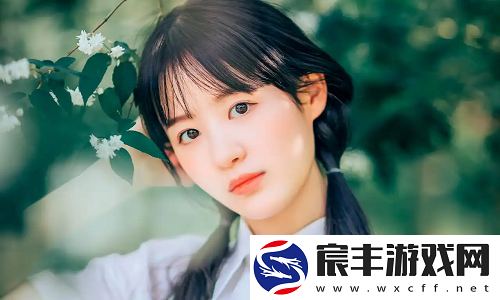 揭秘苏软软汆肉的日常系统：如何用系统化改变生活效率