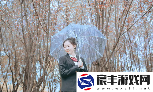 www.51色萝网站安全吗-深度解析背后的真相与风险！