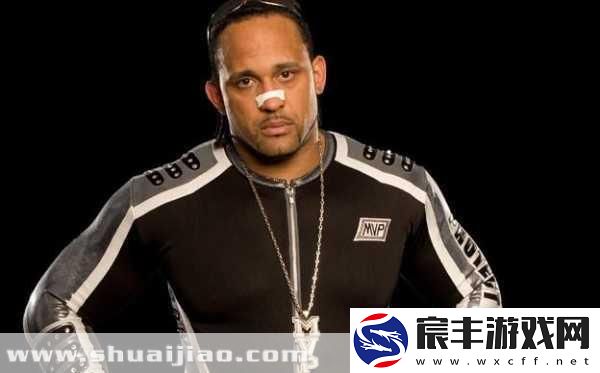 wwe威哥mvp4-1.-从威哥看MVP4：一场视觉盛宴的背后故事