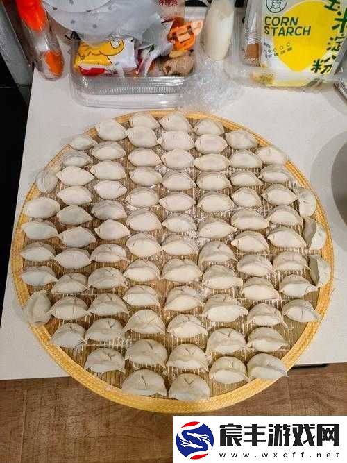 把你的香肠放在我的饺子里然后我们一起吃饺子吧