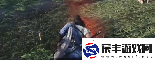 燕云十六声竹林旧居蹊跷在哪