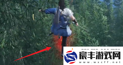 燕云十六声竹林旧居蹊跷在哪
