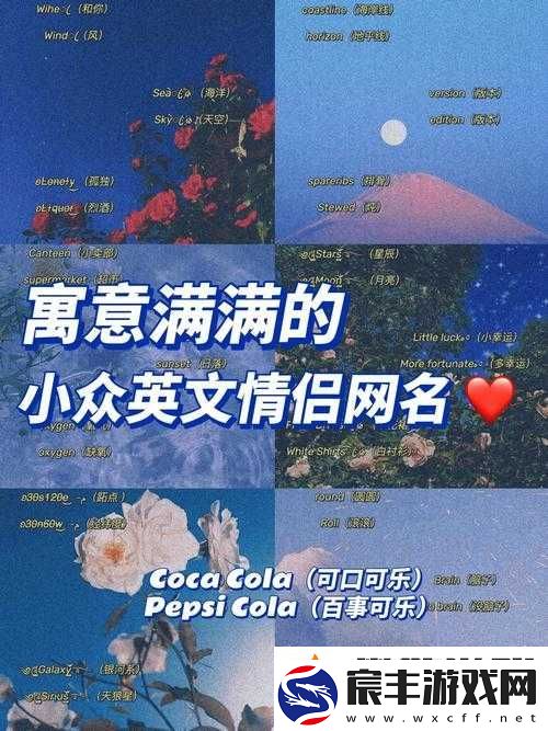 2024-欧美个性情侣名精选：展现独特爱意的浪漫之选