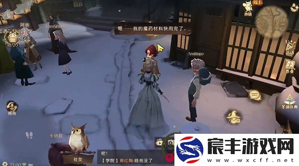 哈利波特魔法觉醒怎么送圣诞礼物