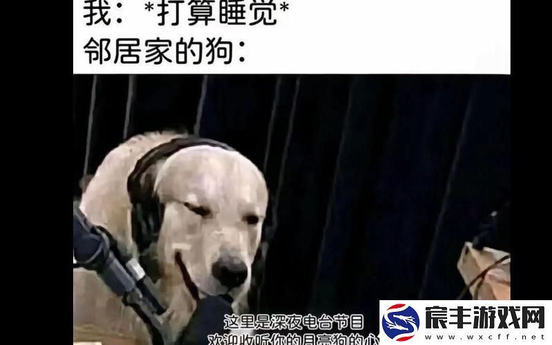 狗卡在我的那里怎么办,狗狗卡在