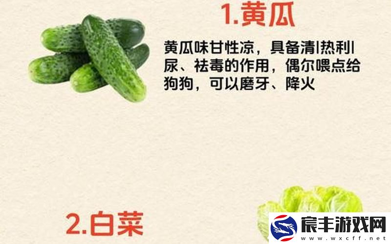 狗狗的东西又硬又烫又臭;狗狗的东西又硬又烫又臭怎么办视频讲解