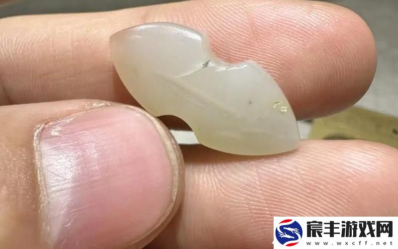 玉杵入牦户天下一奇吃橘带皮-玉杵叩扉的意思