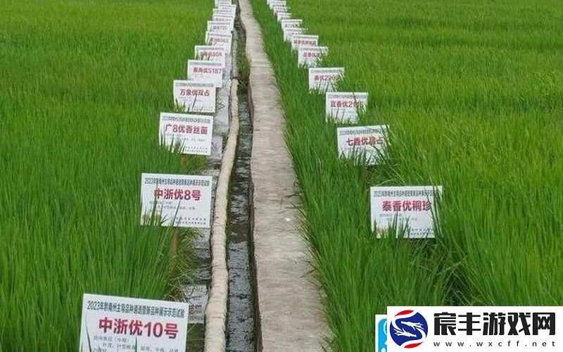 精产国品一二三产区区别9977