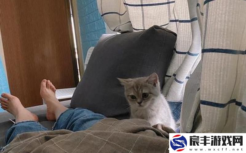 陪读装睡让他滑进去了_半夜装睡配合孩子阴阳调和