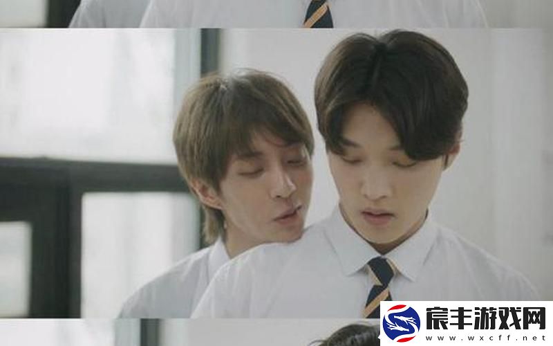 韩国腐剧;二十部必看韩剧双男主