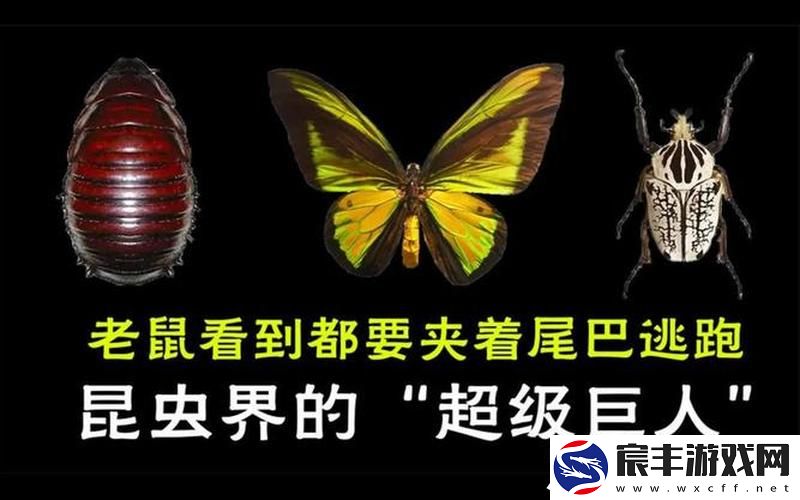 黑巨人的又黑又大又长、黑色巨人