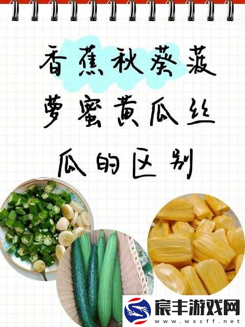 草莓香蕉丝瓜秋葵榴莲大全：丰富蔬果种类详细介绍