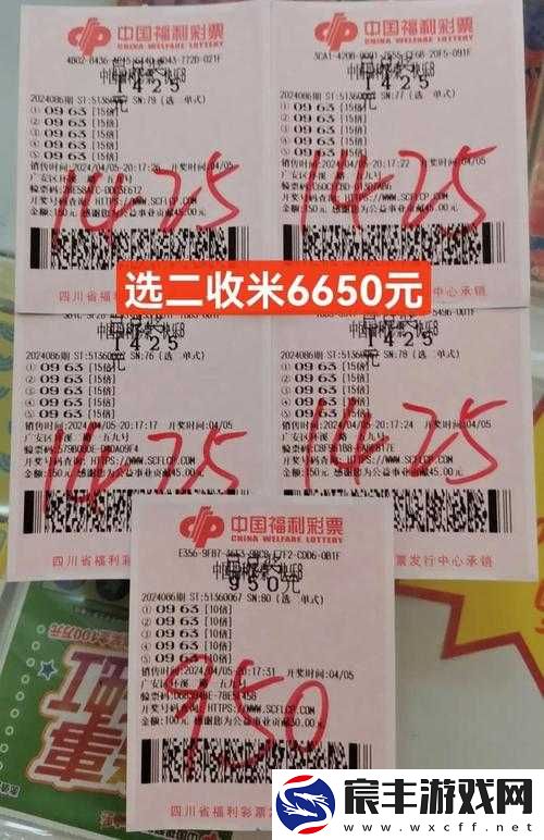 无人区码二码三码四码区别之详细分析与全面解读