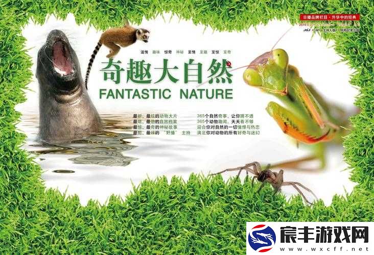 让我探索你的茂盛的丛林：开启一段神秘而奇妙的旅程