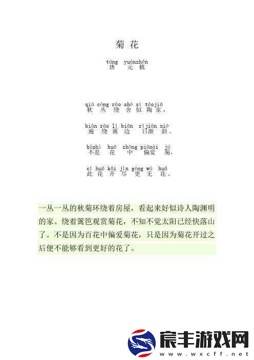 答错一题菊花放一支笔丁程鑫引发的思考与讨论