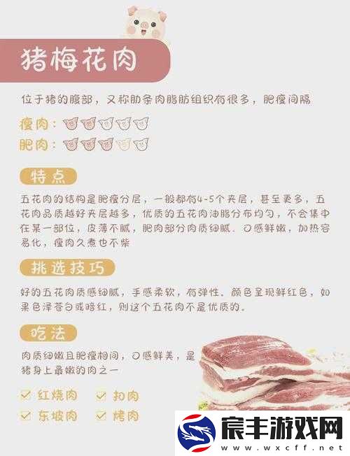 肥肉合集：探秘各种肥肉的独特魅力与烹饪技巧