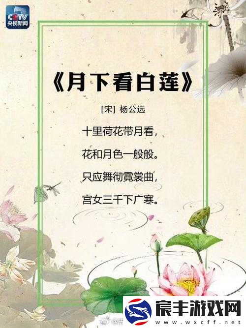 两瓣红莲今夜开一池碧水盼君浴：一场浪漫的邂逅之约
