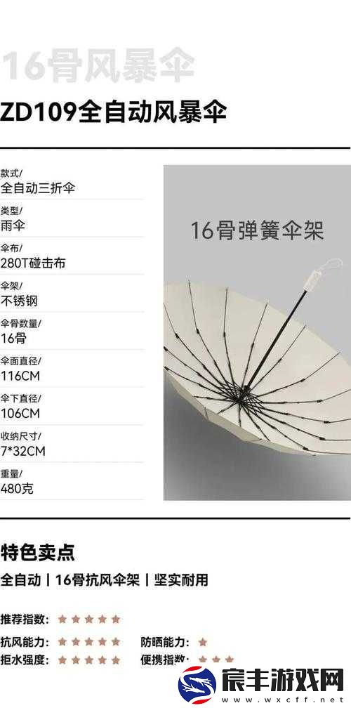小雨伞是什么意思-对其含义与作用的全面解读