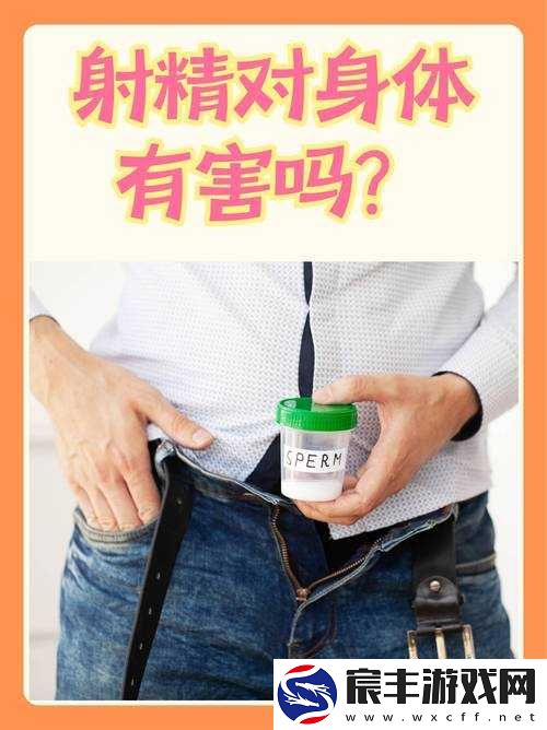 中国内射相关知识的全面解读与深入探讨