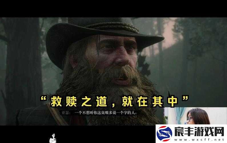 40 岁阿姨荒野大镖客 2 玩法之独特体验与深度探索
