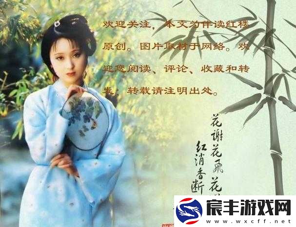宝玉林黛玉初尝风雨的解读：一段千古绝恋的情感波澜