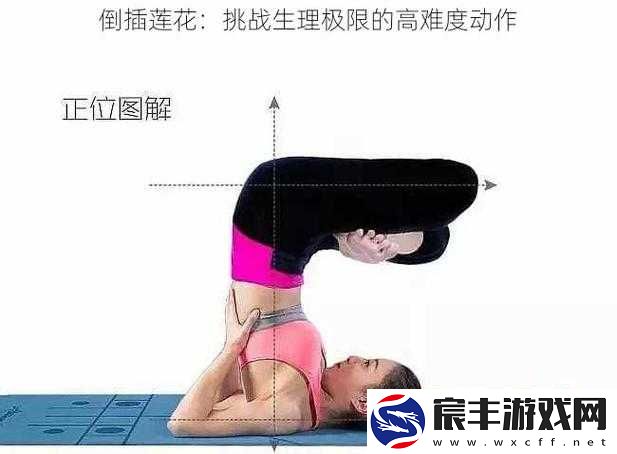 男女之间倒插莲花的寓意是什么？