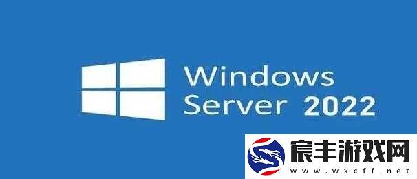 日本windowsserver免费版：引发行业热议的新宠