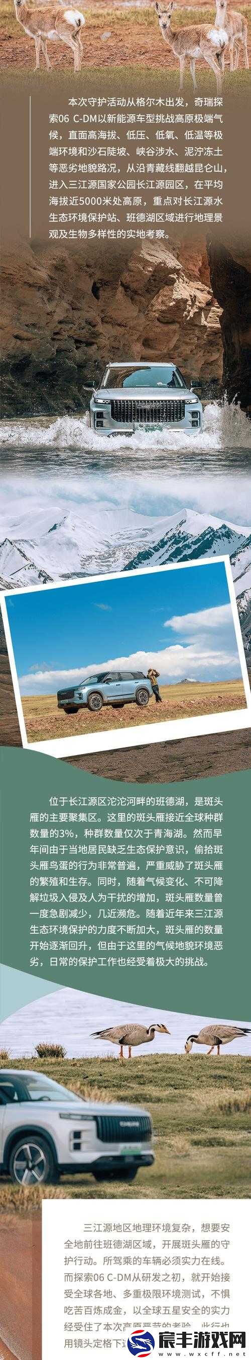 国产无人区码 SUV：探索极致越野性能与科技的完美融合