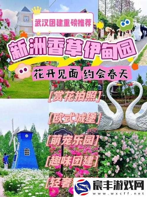 新洲区香草伊甸园景区：浪漫花海的梦幻之旅