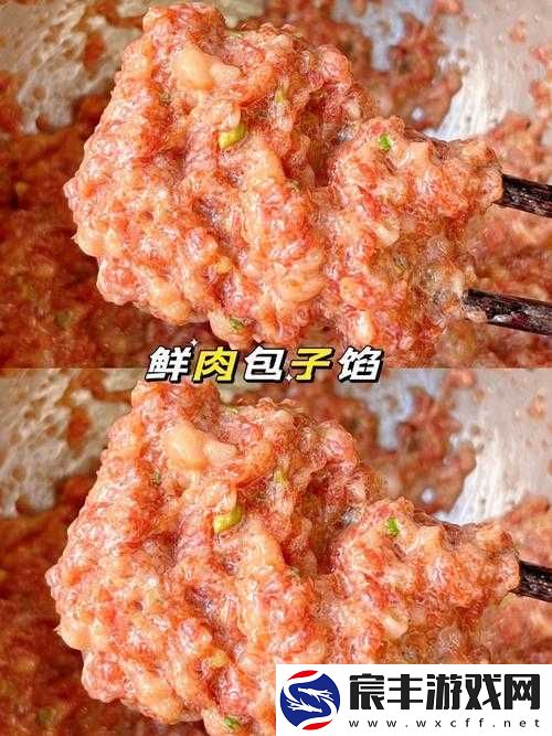 授课方式 po 肉馅小水饺：详细步骤与烹饪技巧分享