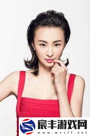 公交车最后一排的神秘故事：C 林静的别样经历