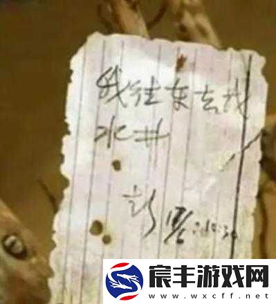 hp公交车灌溉系统几个装修工人：揭秘背后的神秘故事