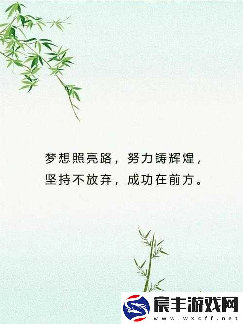 两个人一前一后有力的：共铸辉煌成就未来的坚实力量
